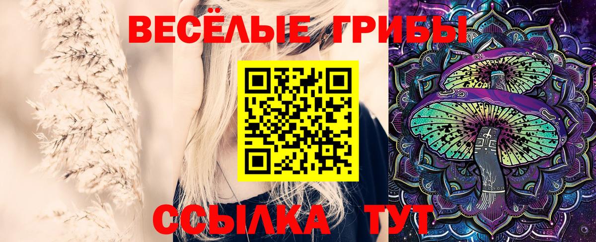 Галлюциногенные грибы Magic Shrooms Чистополь